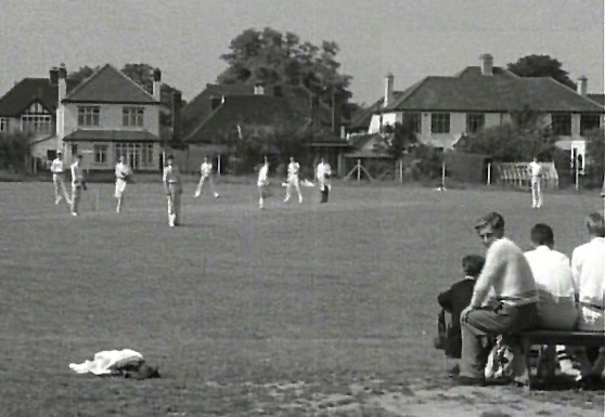 Cricket spectators